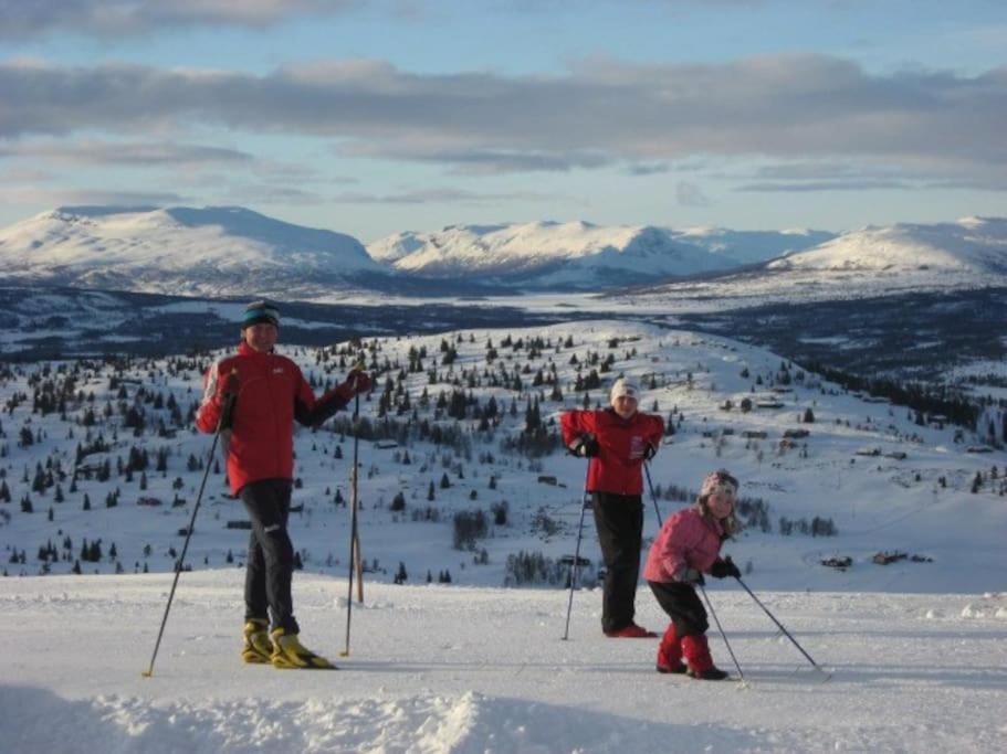 Flott Fritidsleilighet I Bualie Pa Golsfjellet Exterior photo